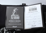 2011 Marshall AFD100 Slash signature amp