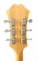 1989 Epiphone Casino natural