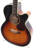 2004 Takamine EF450 SMC sunburst