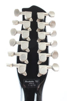 2020s Danelectro 59 12-string black