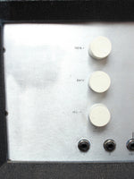 1970 Selmer Treble N Bass 100 SV w/4x12" cabinet
