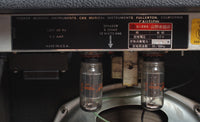 1977 Fender Musicmaster Bass Amp silverface