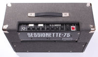 1986 Session Sessionette 75 2x10" Combo