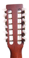 1971 Martin D-12-20 natural