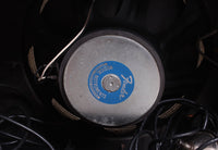 1981 Fender 75 Amp