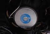 1981 Fender 75 Amp
