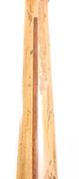 1978 Fender Telecaster natural