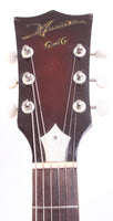 1960s Guyatone Musician G and G SG-M02 brown