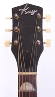 1963 Kay N-2 Archtop sunburst