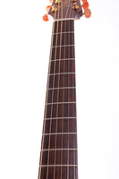 2007 Takamine EAN10C natural