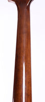 1977 Greco Thunderbird II sunburst