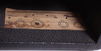 1976 Fender Reverb Unit