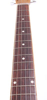 1960s Dynelectron Guitarlin Longhorn copper burst
