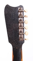 1963 Silvertone 1449 Amp-in-Case black sparkle