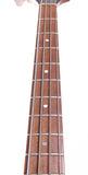 1976 Gibson Thunderbird Bicentennial natural