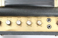 1973 Marshall Artisté 2040 Lead Bass Organ 2x12" combo black
