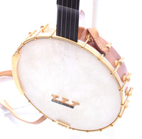 2012 Blue Moon Banjo 5-string fretless natural