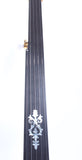 2012 Blue Moon Banjo 5-string fretless natural