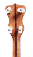 2012 Blue Moon Banjo 5-string fretless natural