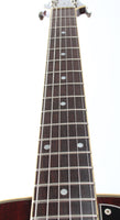 2003 Greco Clear Sound Project L-10P sunburst